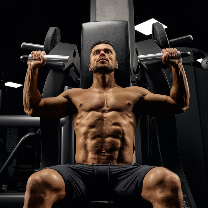 How to build a big chest – Warrior