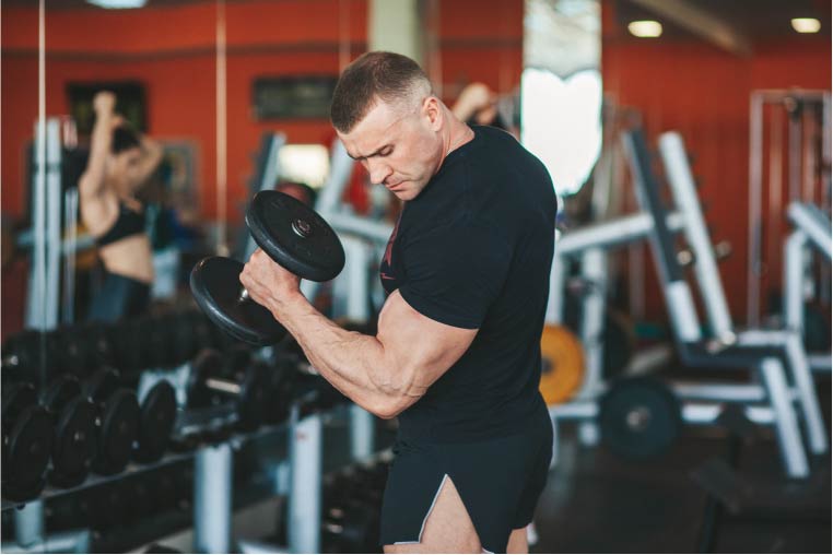 Best split for online muscle mass