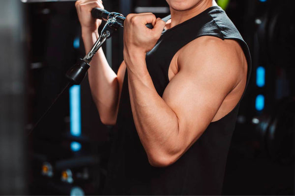 How to structure workout's for muscle growth