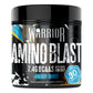 Warrior Amino Blast - BCAA Energy Powder - 270g (30 Servings)
