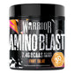 Warrior Amino Blast - BCAA Energy Powder - 270g (30 Servings)