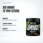 Warrior Aminos BCAA + Electrolyte Powder – 360g (30 Servings), Watermelon: benefits