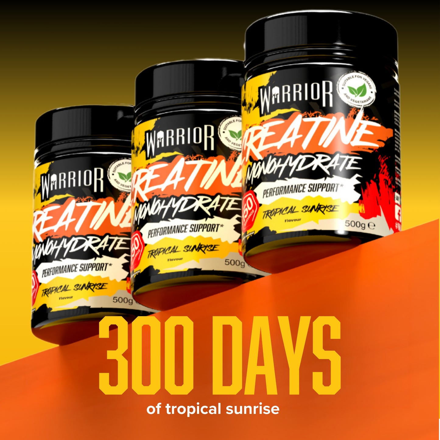 The 300-Day Creatine Pack
