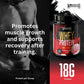 Warrior Whey Protein Powder – 500g | High Protein Shake for Muscle, Recovery & Lean Gains UK