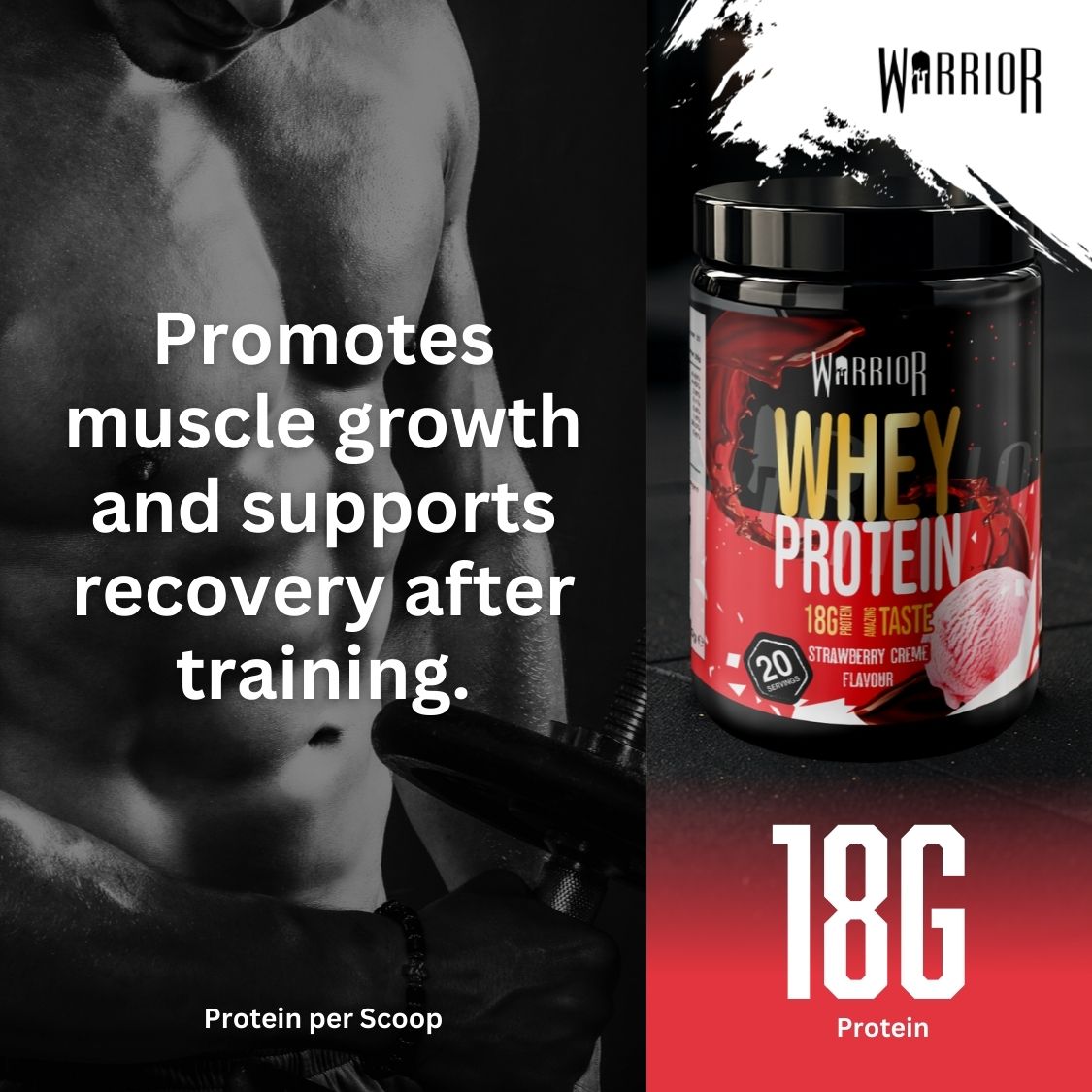 Warrior Whey Protein Powder – 500g | High Protein Shake for Muscle, Recovery & Lean Gains UK