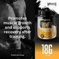Warrior Whey Protein Powder – 500g | High Protein Shake for Muscle, Recovery & Lean Gains UK