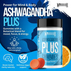 Warrior Ashwagandha Plus - 60 Gummies