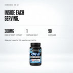 Warrior Ashwagandha KSM-66® 300mg – 90 Capsules: macro callout