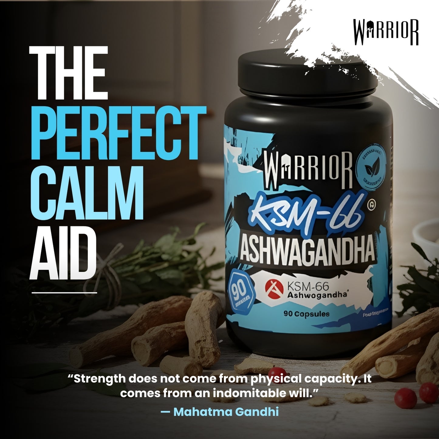 Warrior Ashwagandha 300mg – Stress Relief, Testosterone & Recovery Support | 90 Capsules (UK Made)