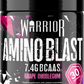 Warrior Amino Blast - BCAA Energy Powder - 270g (30 Servings)