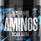 Warrior Aminos BCAA Powder - 360g (30 Srvs)